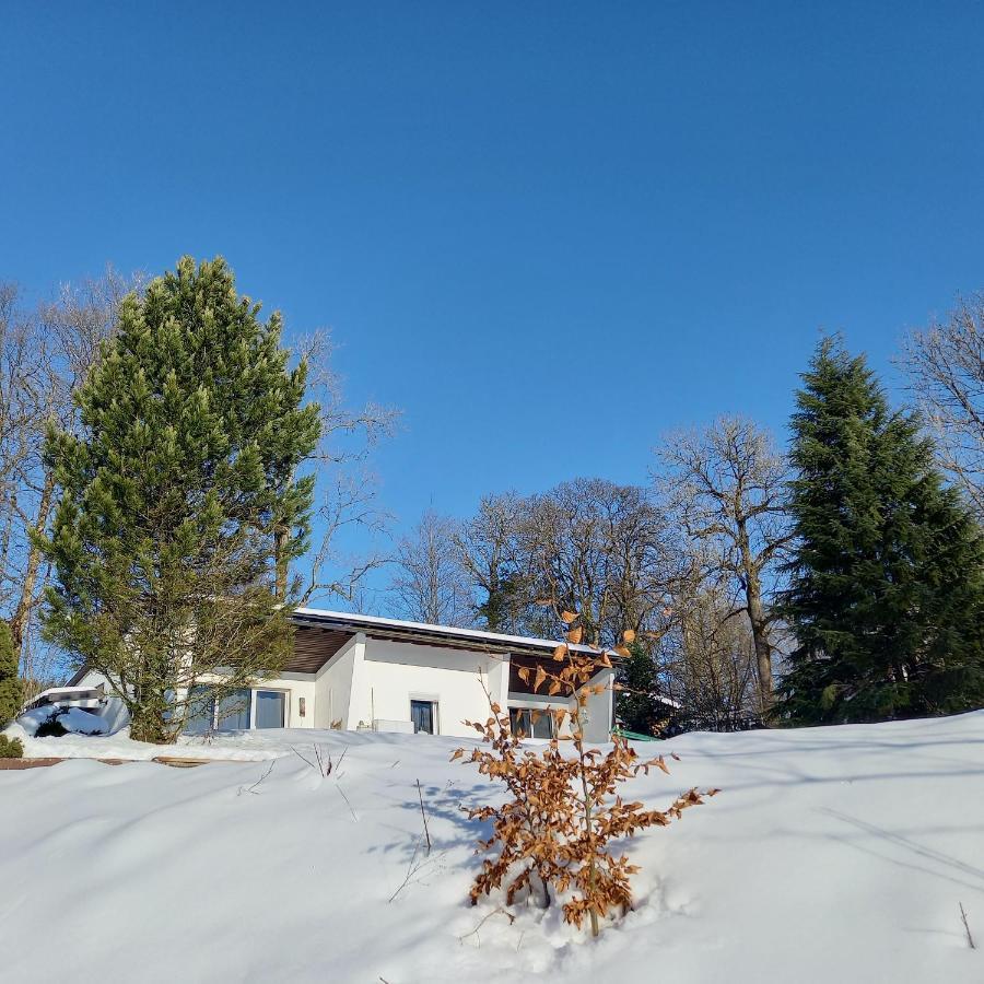 Adbs Ferienhaus Winterberg Exterior foto
